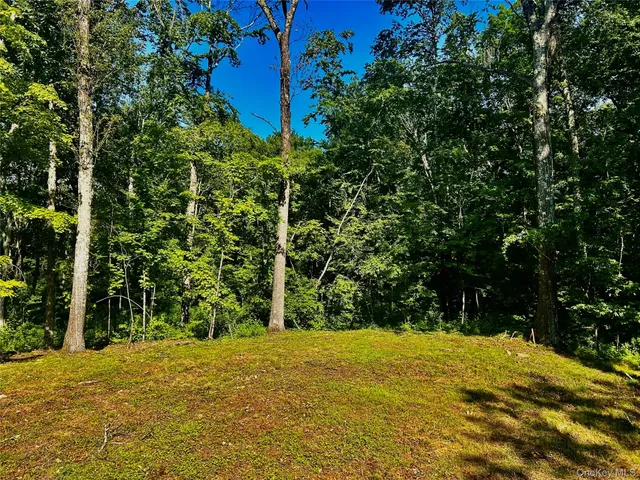 a view of a playground with basketball court
