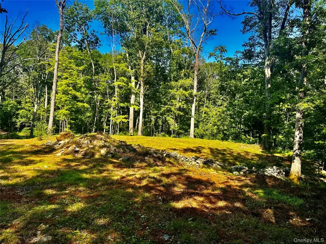a view of a yard with a tree