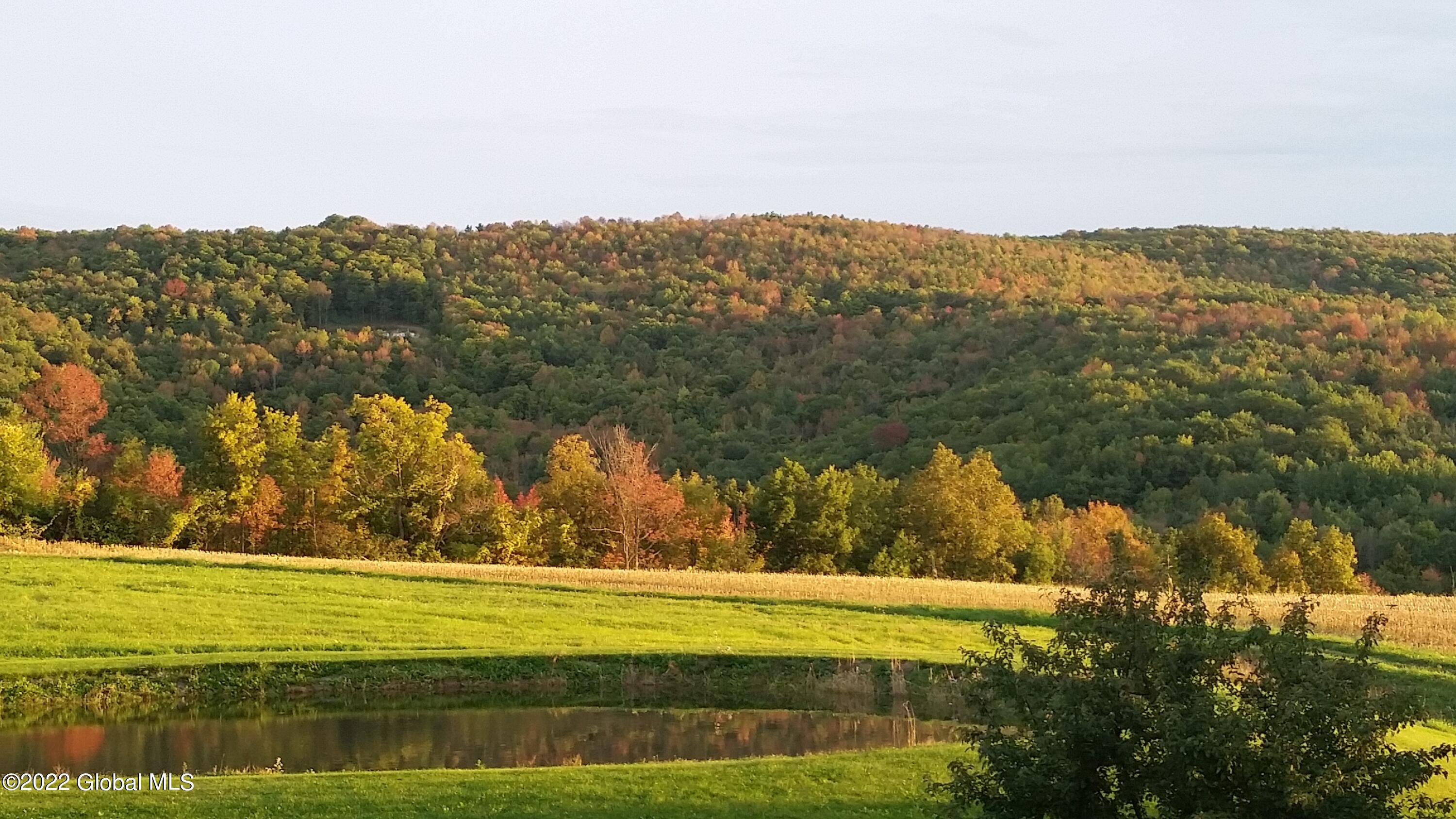 2307 West Fulton Road Warnerville, NY 12187 - Photo 46 of 48 Fall Pic
