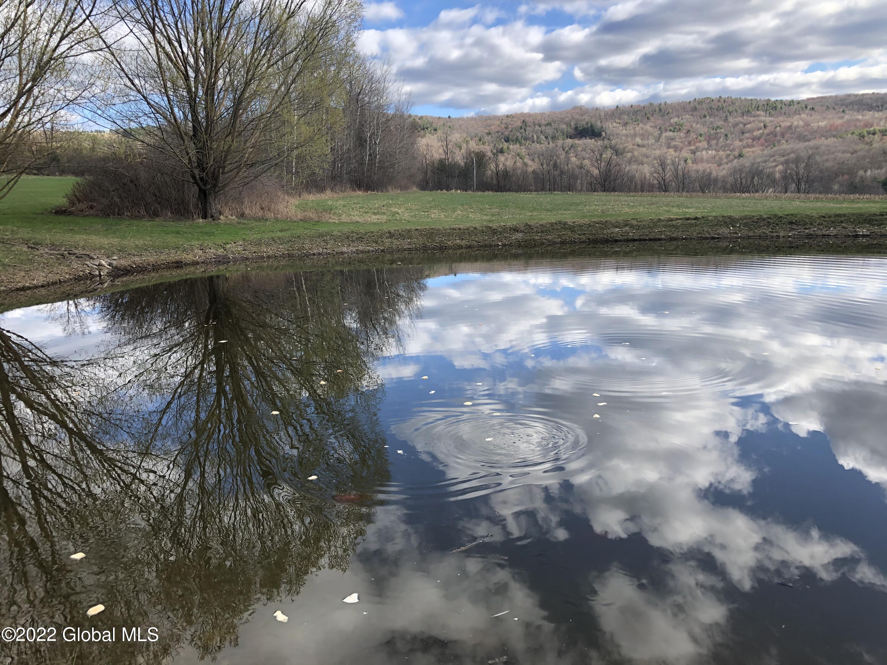 2307 West Fulton Road Warnerville, NY 12187 - Photo 47 of 48 Pond