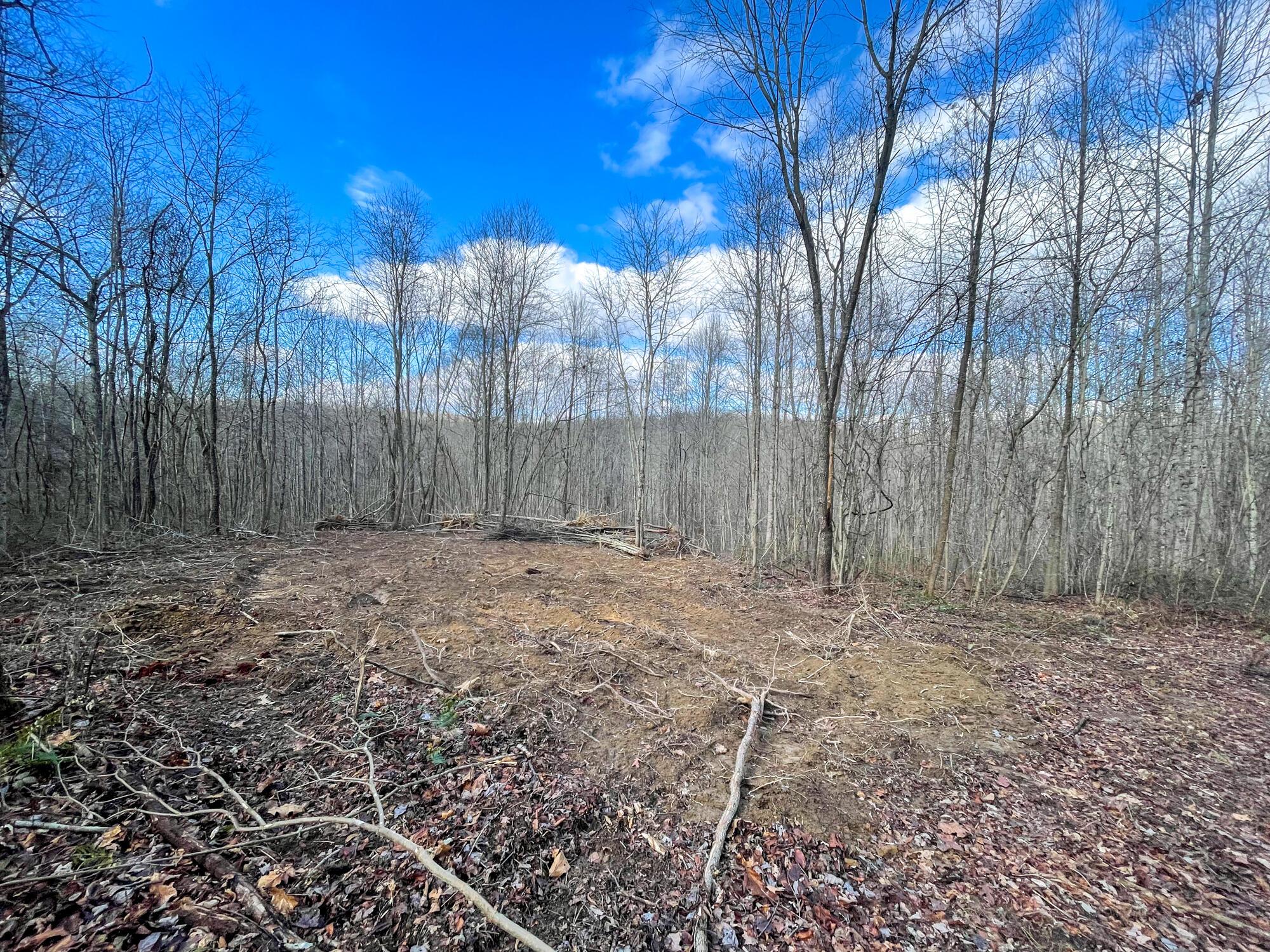 0 Murphy Remy Road McArthur, OH 45651 - Photo 22 of 34 IMG_5497
