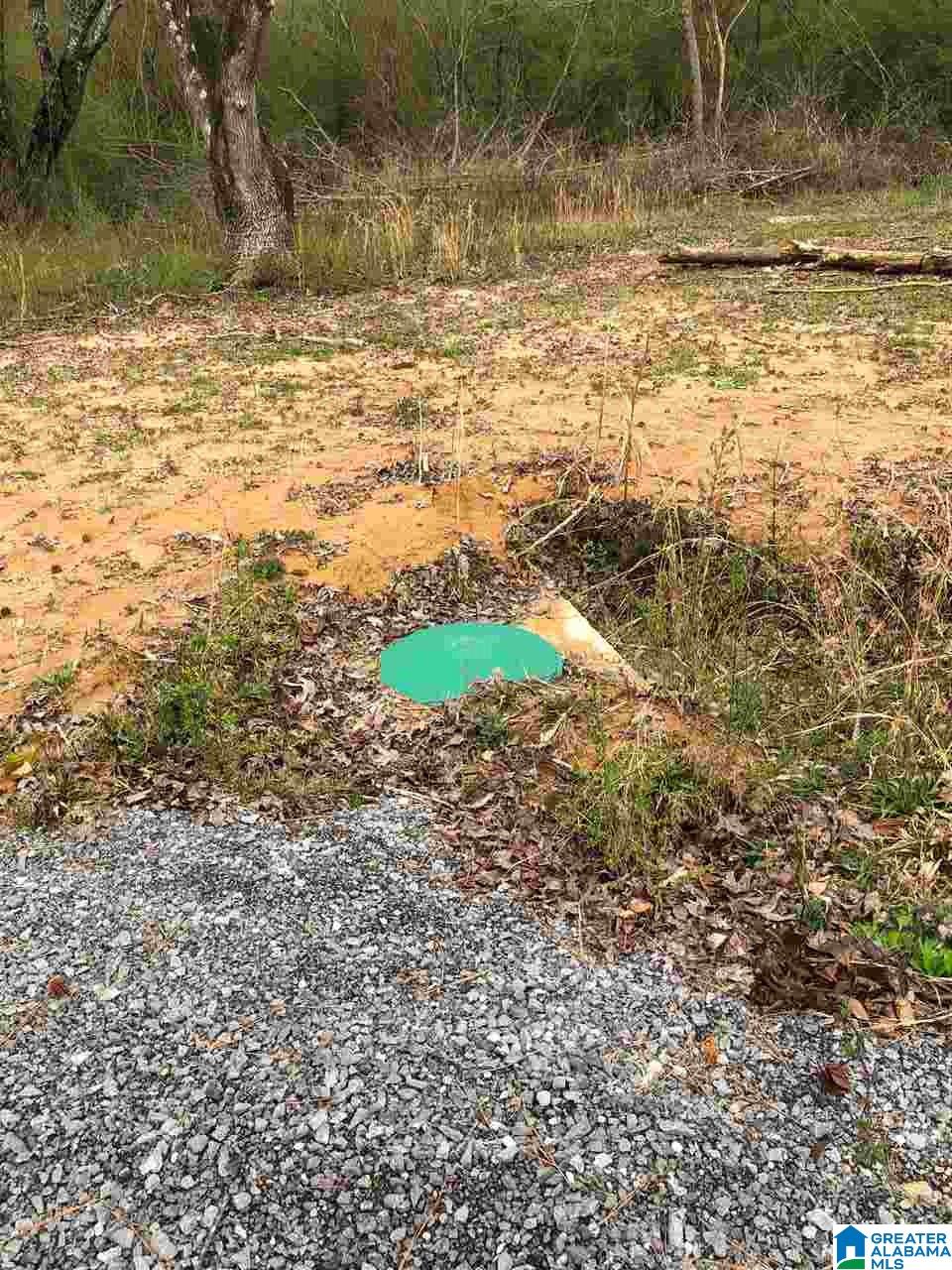 323 Yellow Hammer Road Blountsville, AL 35031 - Photo 7 of 9