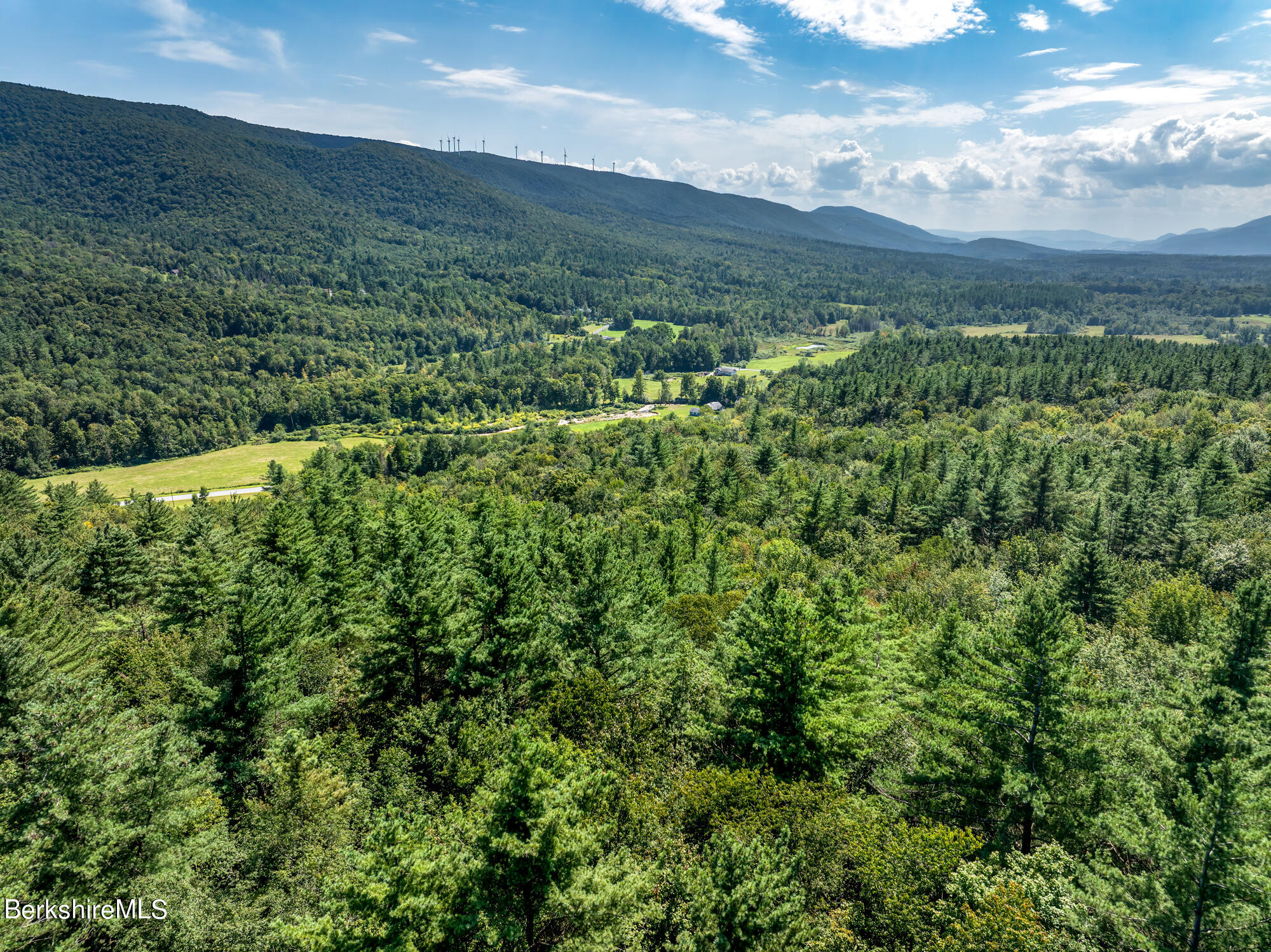 276 Sumner Road Stamford, VT 05352 - Photo 5 of 38 a view of a lush green forest with lots of trees