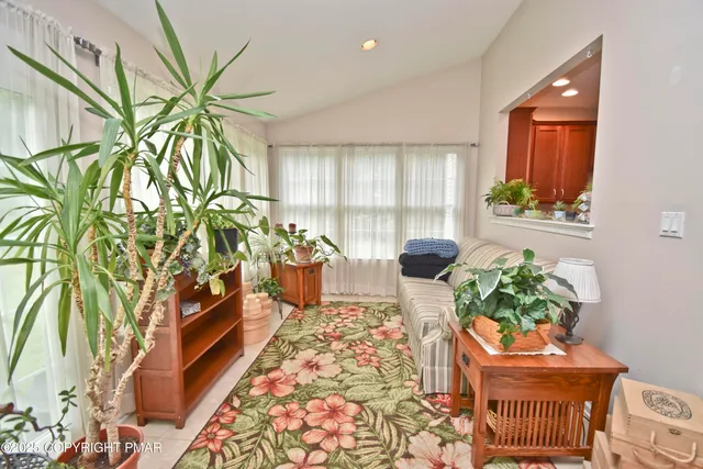 a living room with a couch and a potted plant