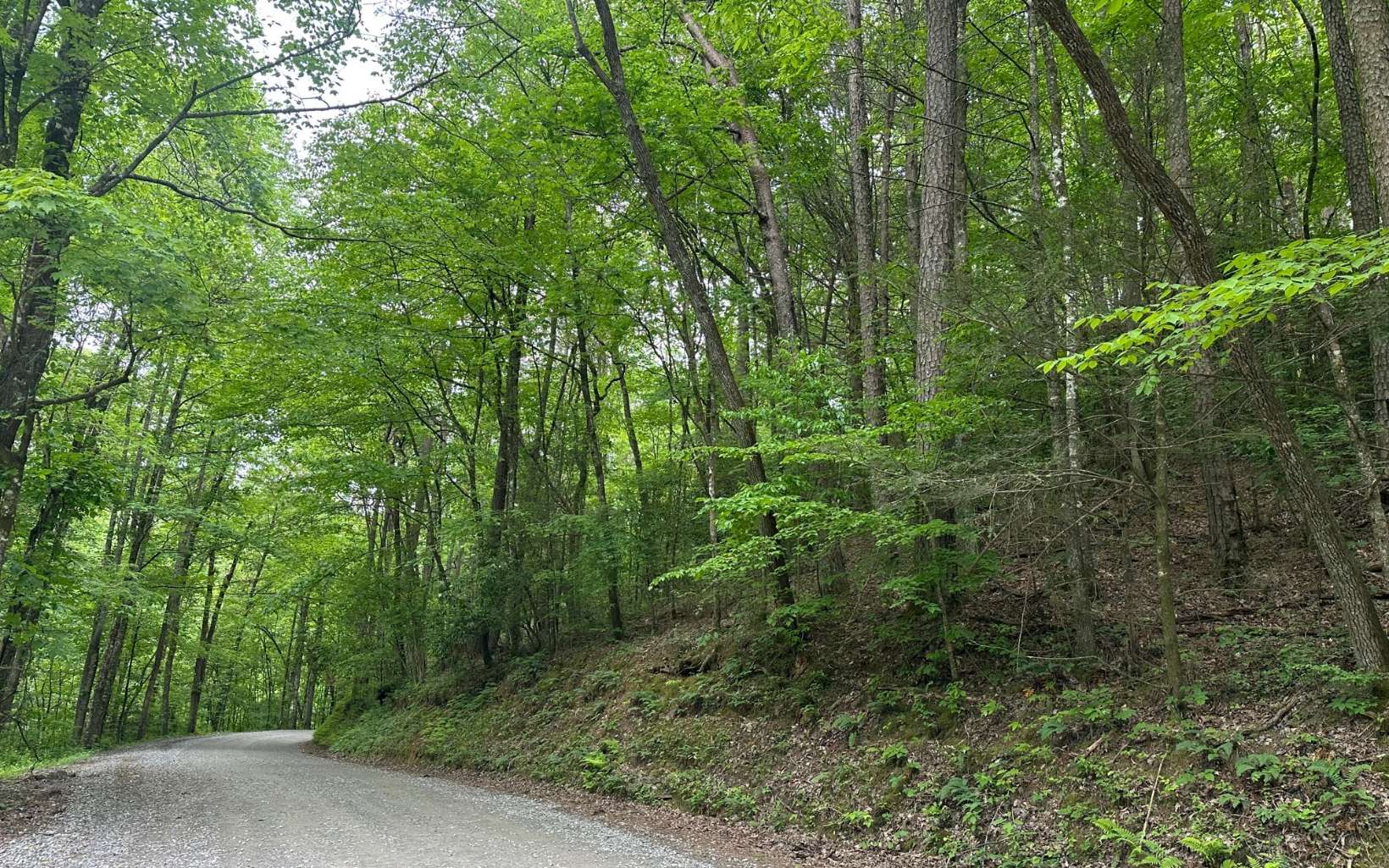 Lot 5 Bear Paw Trail Blue Ridge, GA 30513 - Photo 2 of 4 Additional View