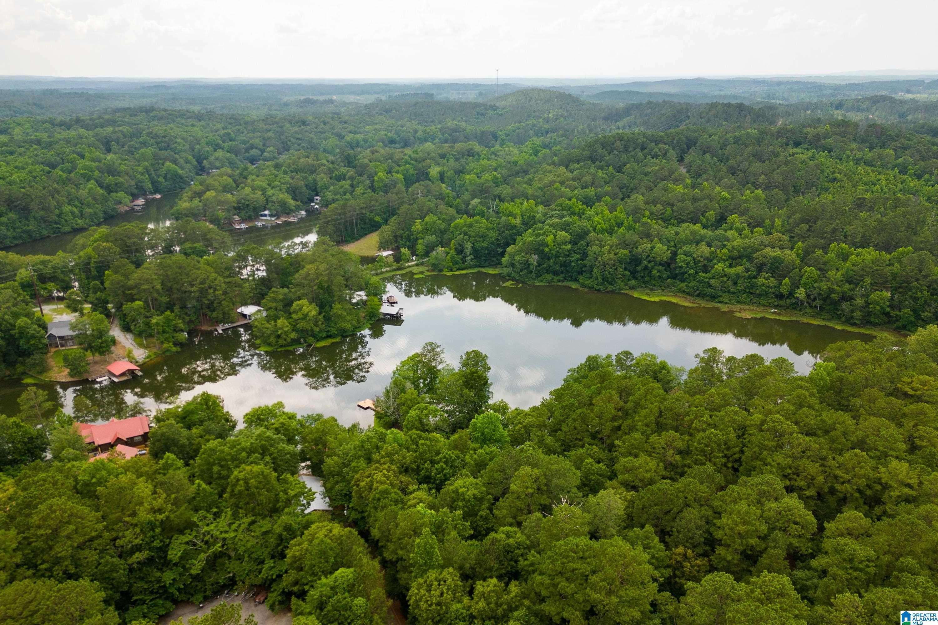 412 Tangled Way Shelby, AL 35143 - Photo 43 of 53