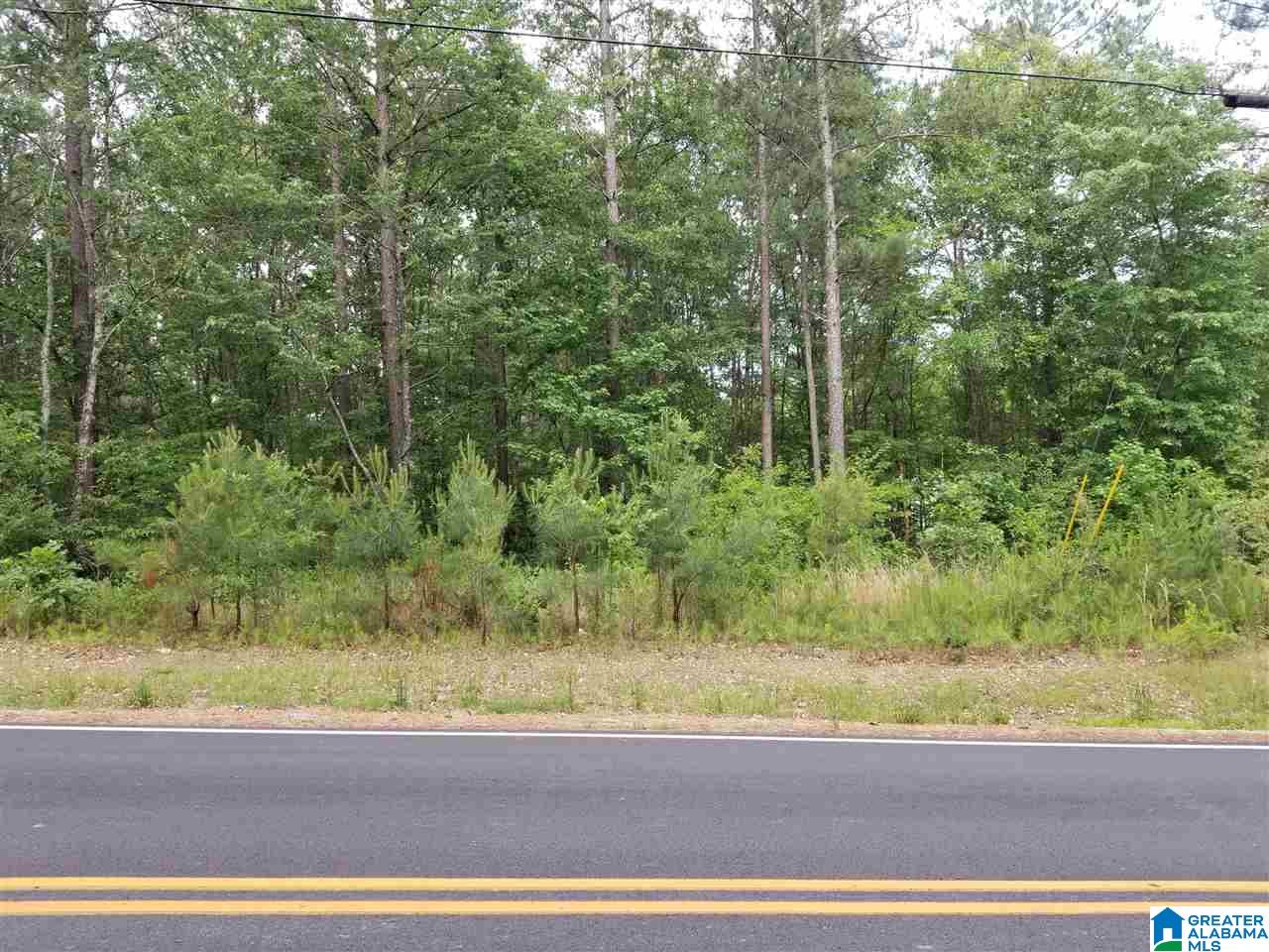 0 Pleasant Valley Road, Unit 8 42 Jacksonville, AL 36265 - Photo 9 of 10