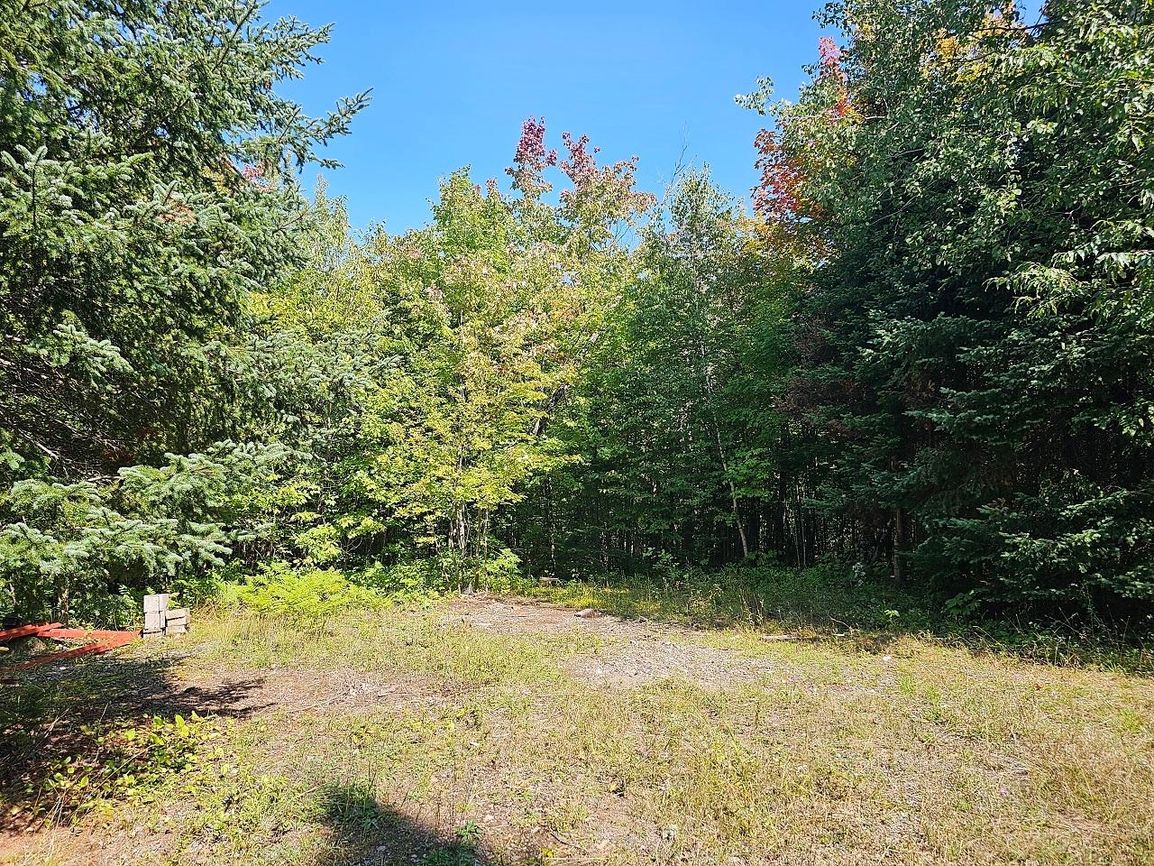 10310 North Dump Road Hurley, WI 54534 - Photo 3 of 18 Gallery Image 3