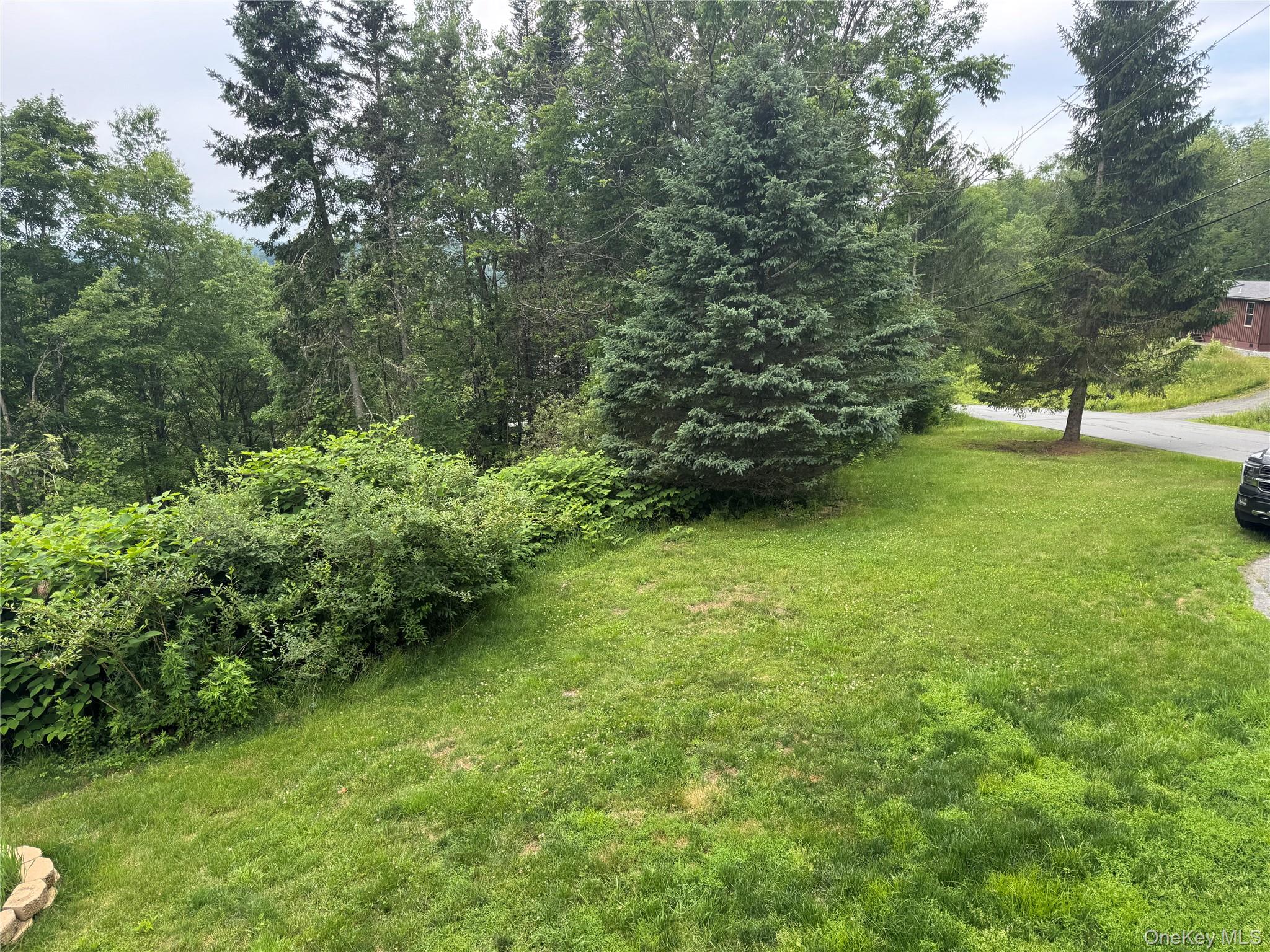 96 White Roe Lake Road Livingston Manor, NY 12758 - Photo 6 of 34 a view of a lush green space