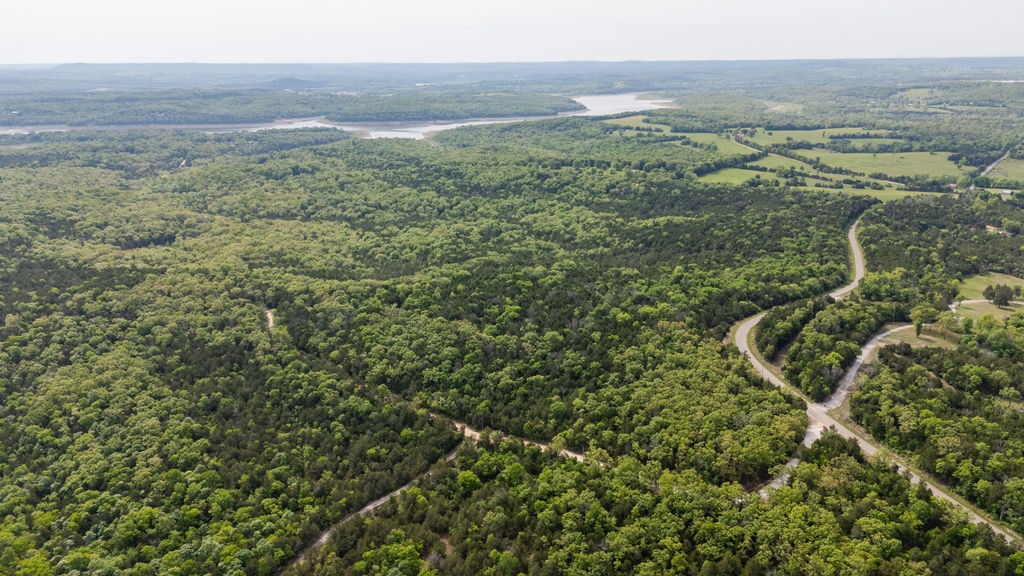 Expansive wooded acreage featuring winding unpaved roads and distant water body