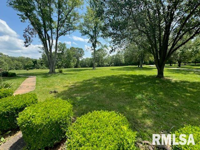 13866 East Jc Lake Road Mount Vernon, IL 62864 - Photo 20 of 24 Gallery Image 20