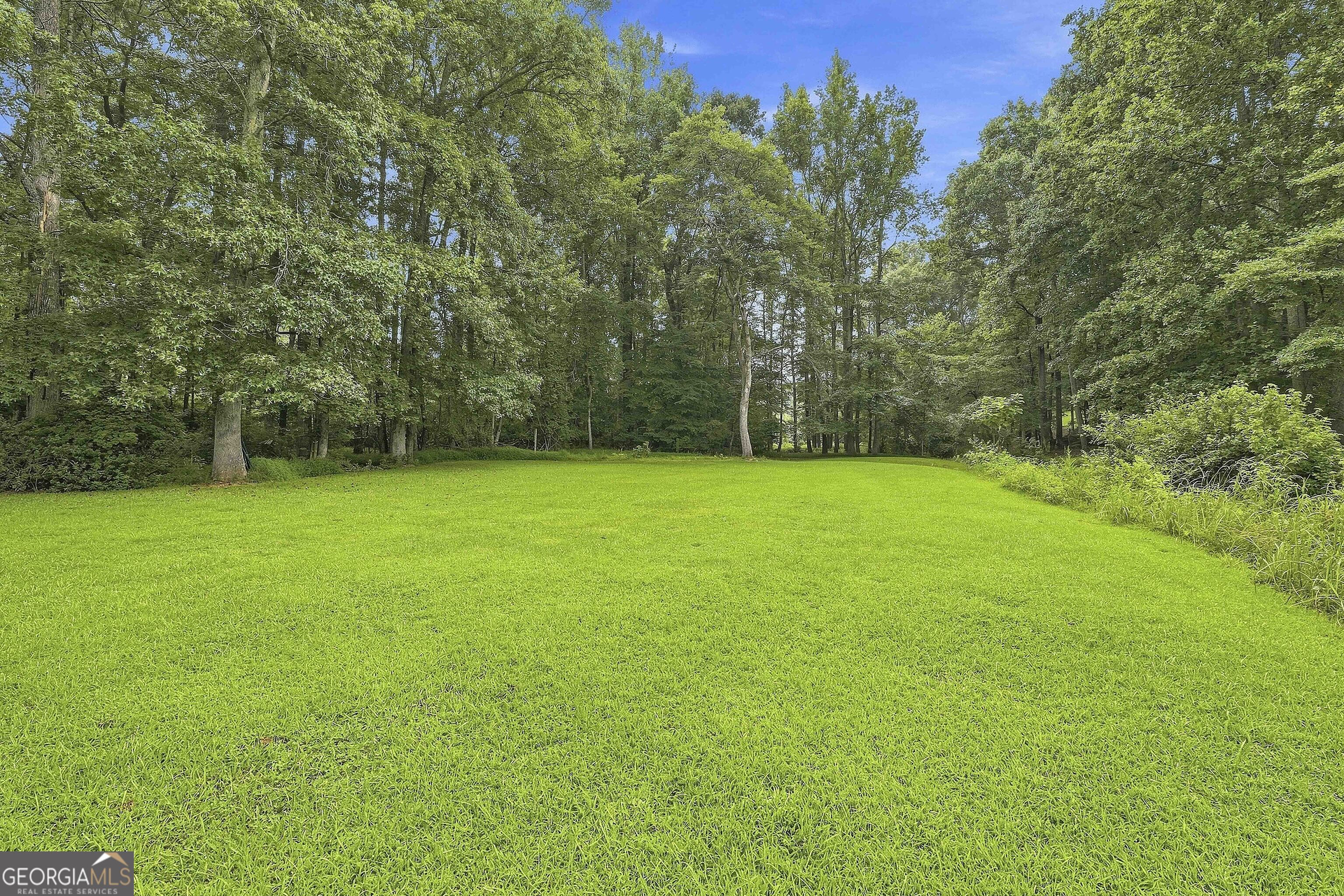 413 Lees Mill Road Fayetteville, GA 30214 - Photo 45 of 53 Gallery Image 45
