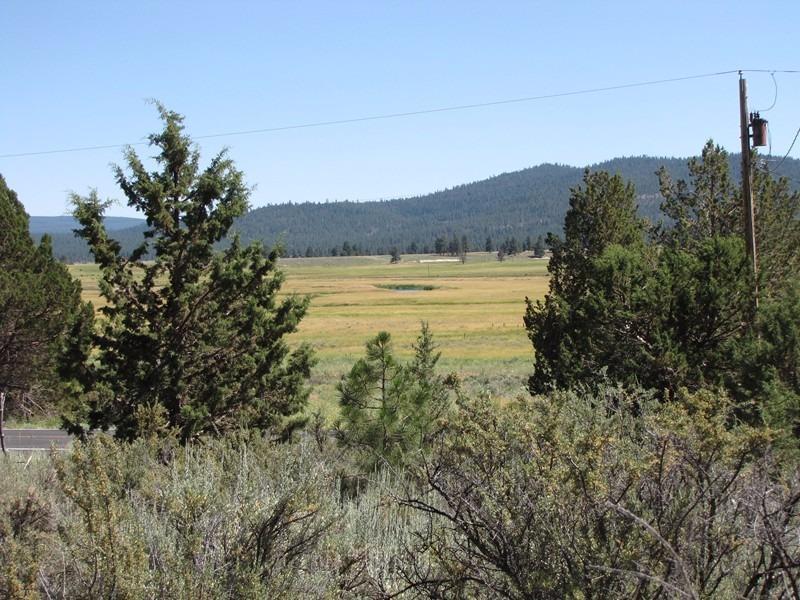 0 Lot 5 Drews Road Beatty, OR 97621 - Photo 3 of 10 Additional Photo