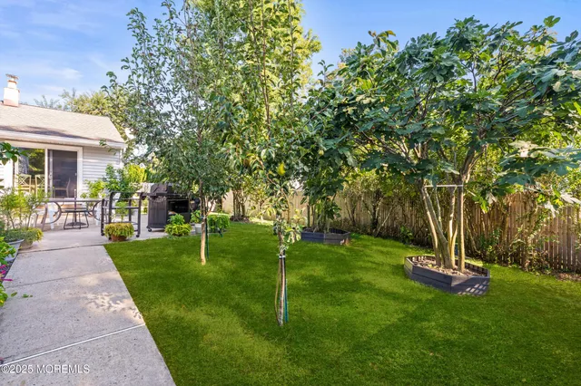 a backyard of a house with plants and tree