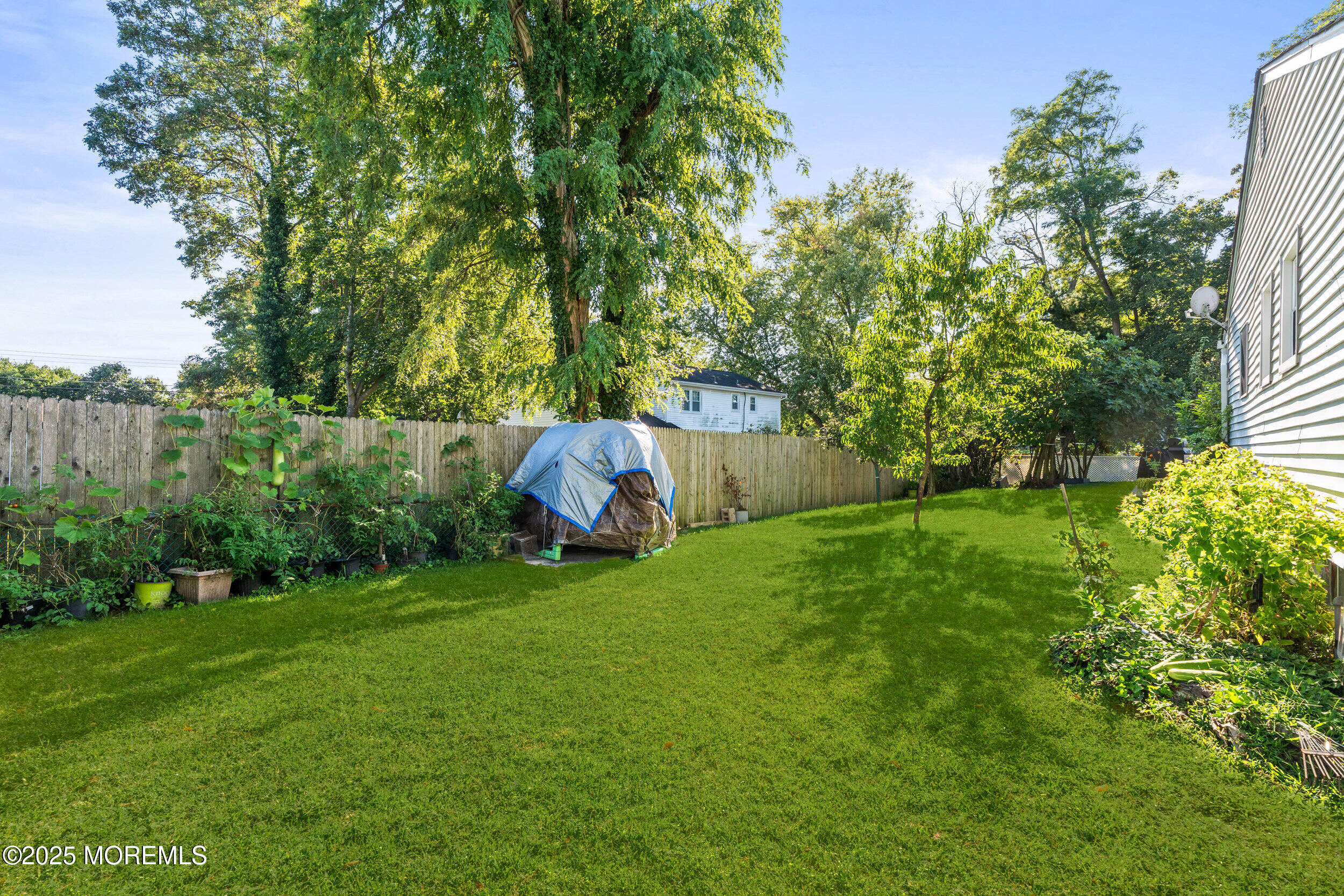 514 Deal Road Asbury Park, NJ 07712 - Photo 35 of 36 a backyard of a house with plants and tree