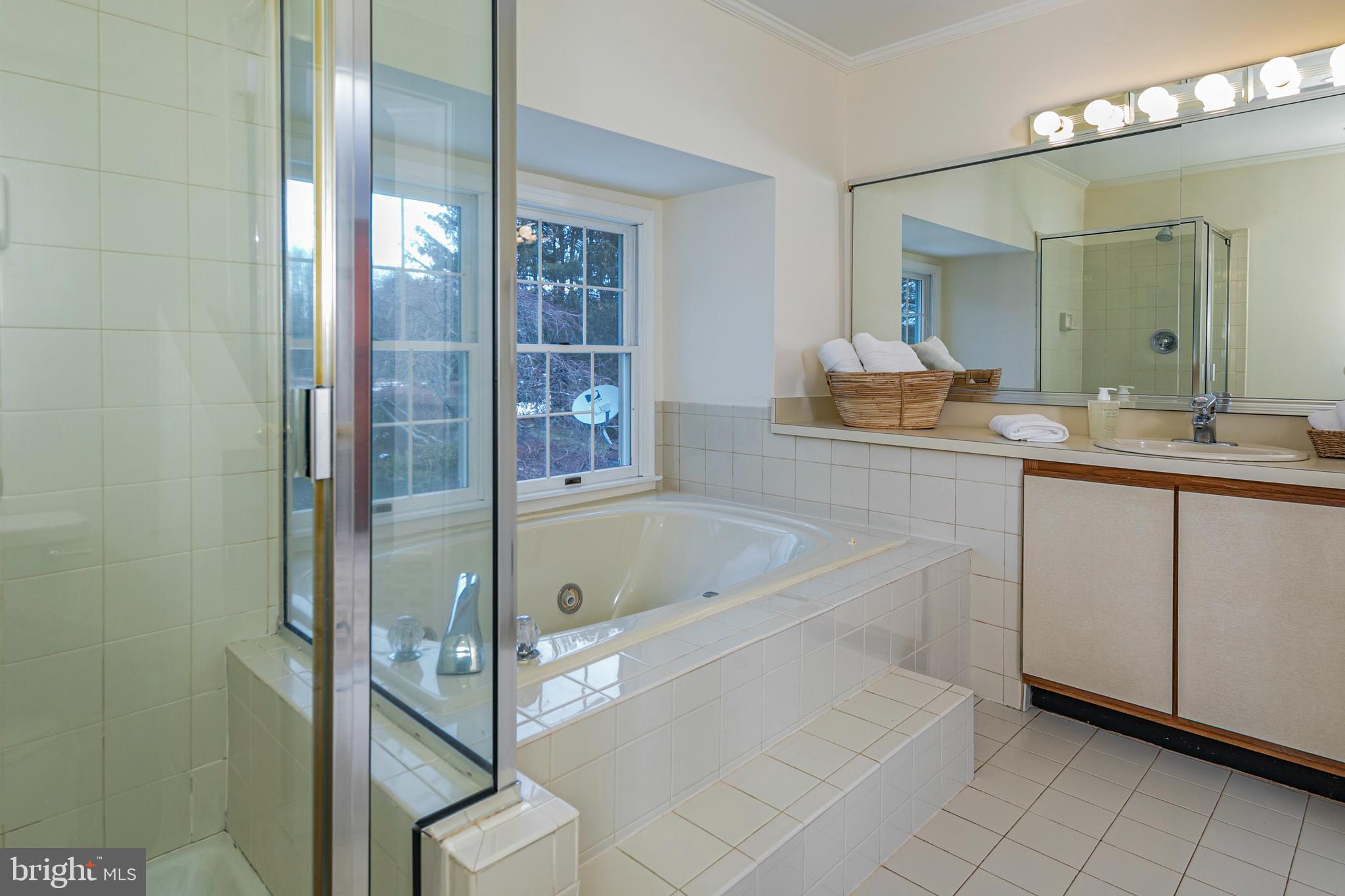 30 Baldwin Street Pennington, NJ 08534 - Photo 26 of 37 a spacious bathroom with a shower sink and mirror