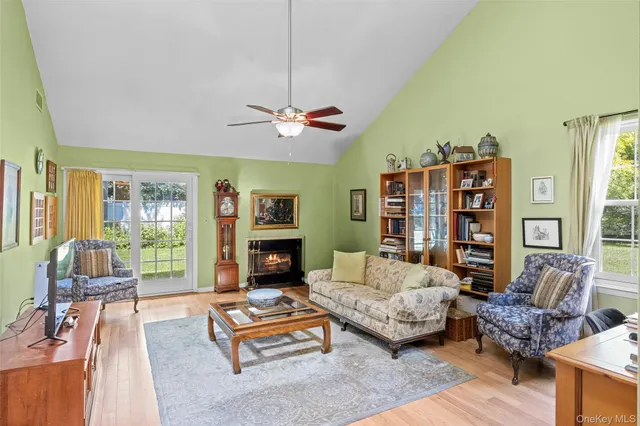 a living room with furniture or couch and a fireplace