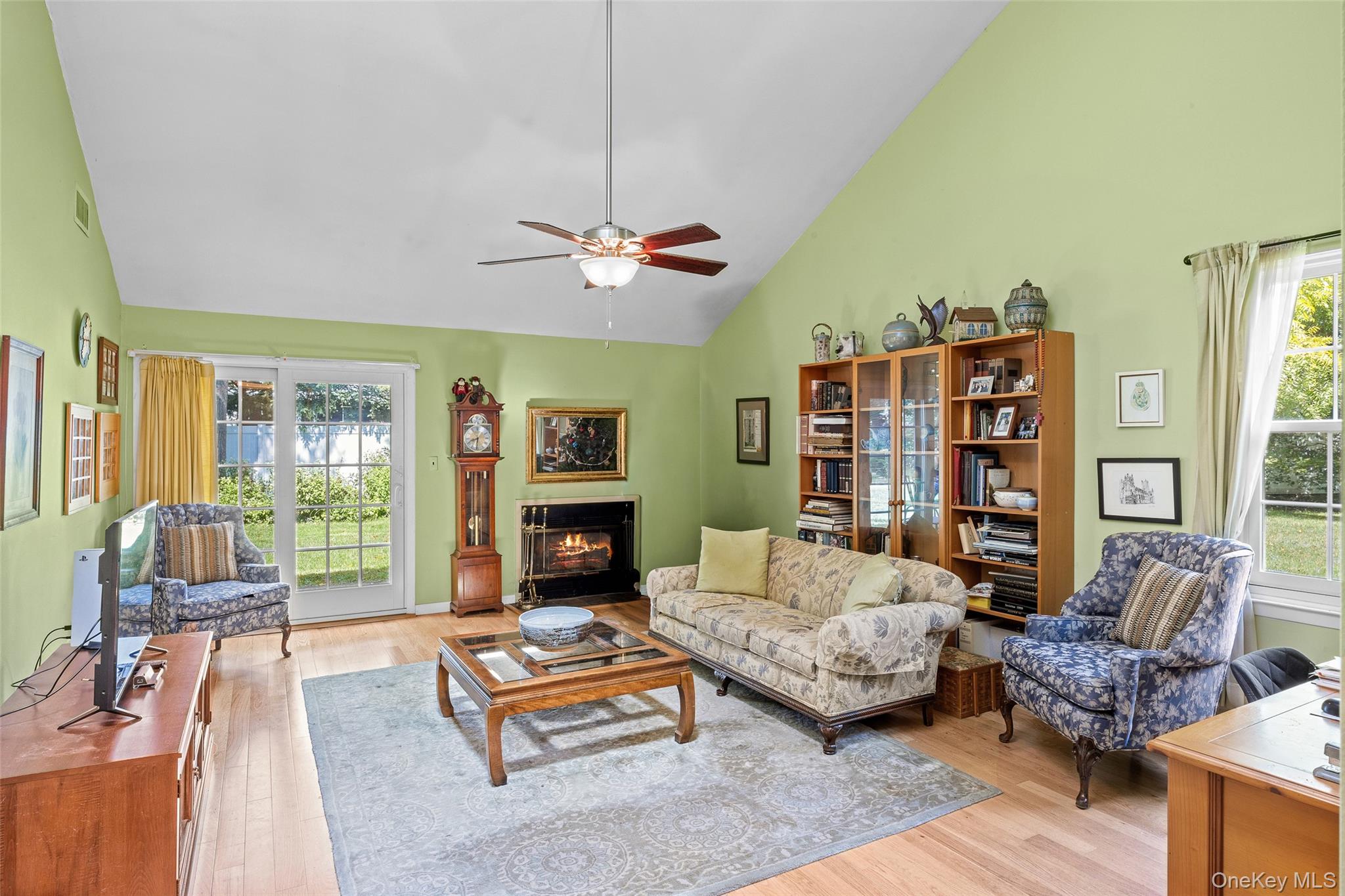 a living room with furniture or couch and a fireplace