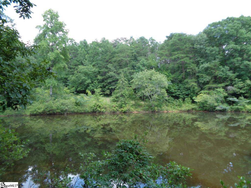 3156 State Park Road Greenville, SC 29609 - Photo 28 of 28