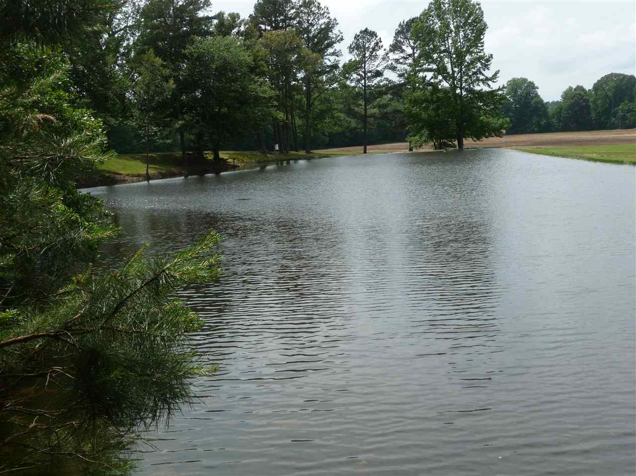 735 Harris Road Bolivar, TN 38008 - Photo 24 of 25