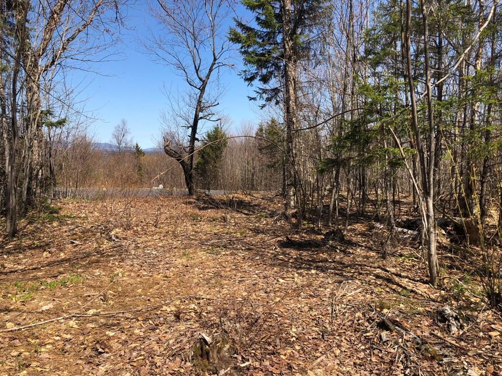 Lot 3 Alpine Ridge Greenville, ME 04441 - Photo 6 of 12 IMG_1637