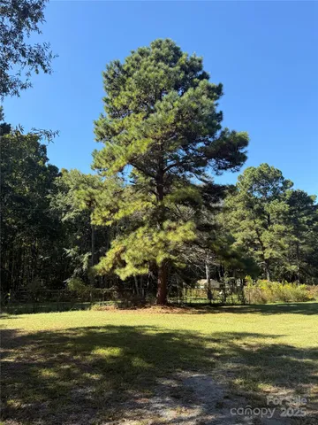 a view of a yard with an outdoor space