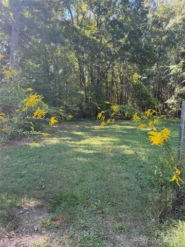 a view of a field with trees in the background