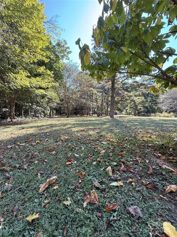 a view of dirt yard with a large tree