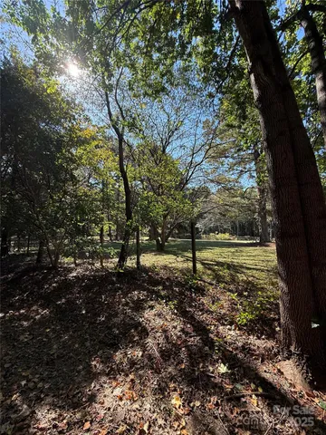 a view of a pathway of a yard