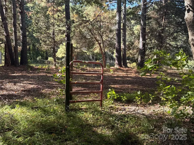 a view of a yard with a trees