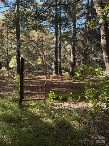 a view of a yard with a tree