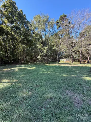 a view of a park with large trees