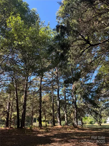 a view of road and trees