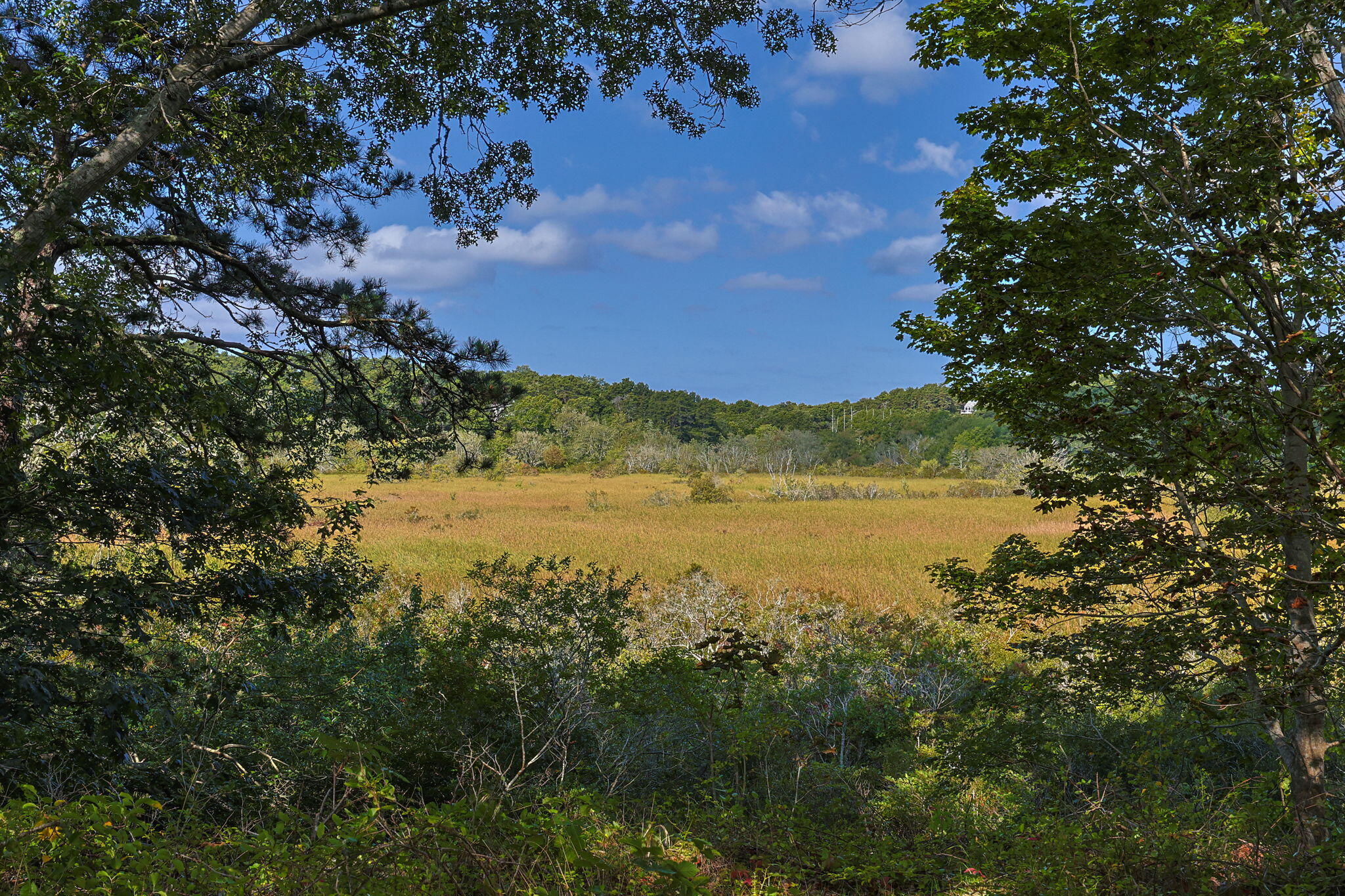 45 Way 035 Wellfleet Ma, Unit C Wellfleet, MA 02667 - Photo 22 of 26 25-web-or-mls-45-way-35