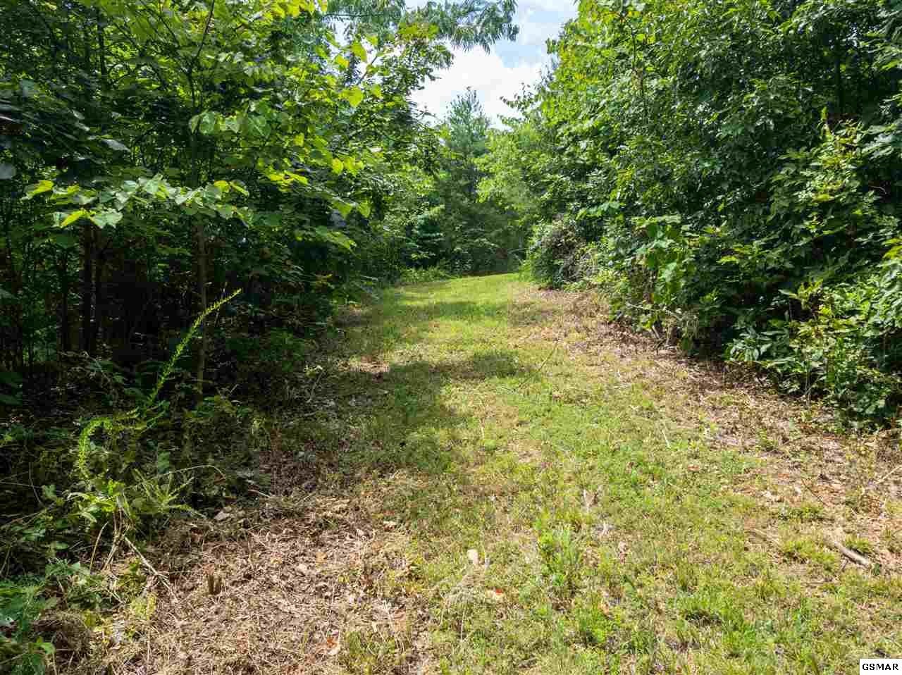 11 Pleasure Road Sevierville, TN 37876 - Photo 13 of 21