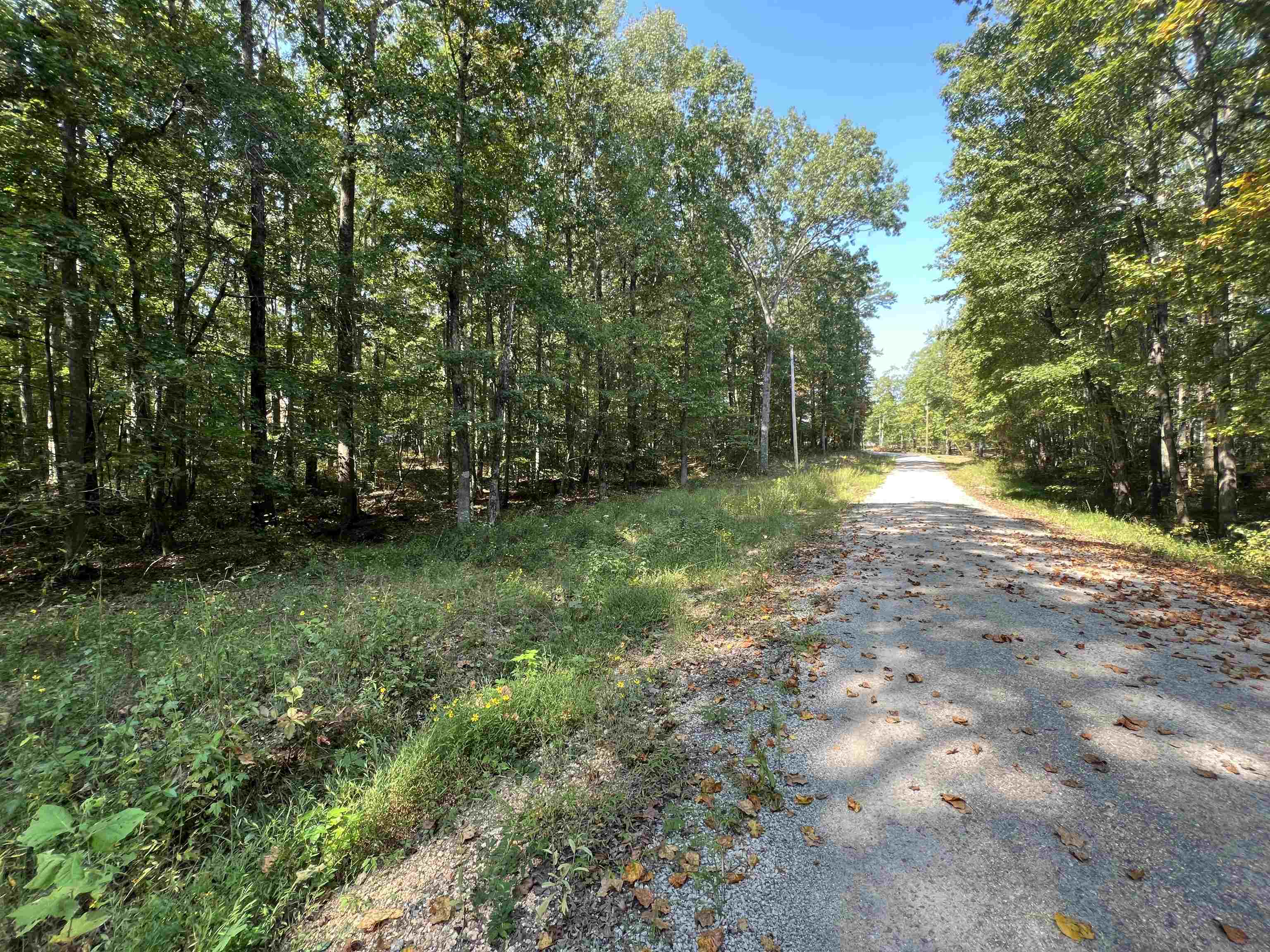 59 Joanne Loop Savannah, TN 38372 - Photo 3 of 12 a view of outdoor space with trees all around