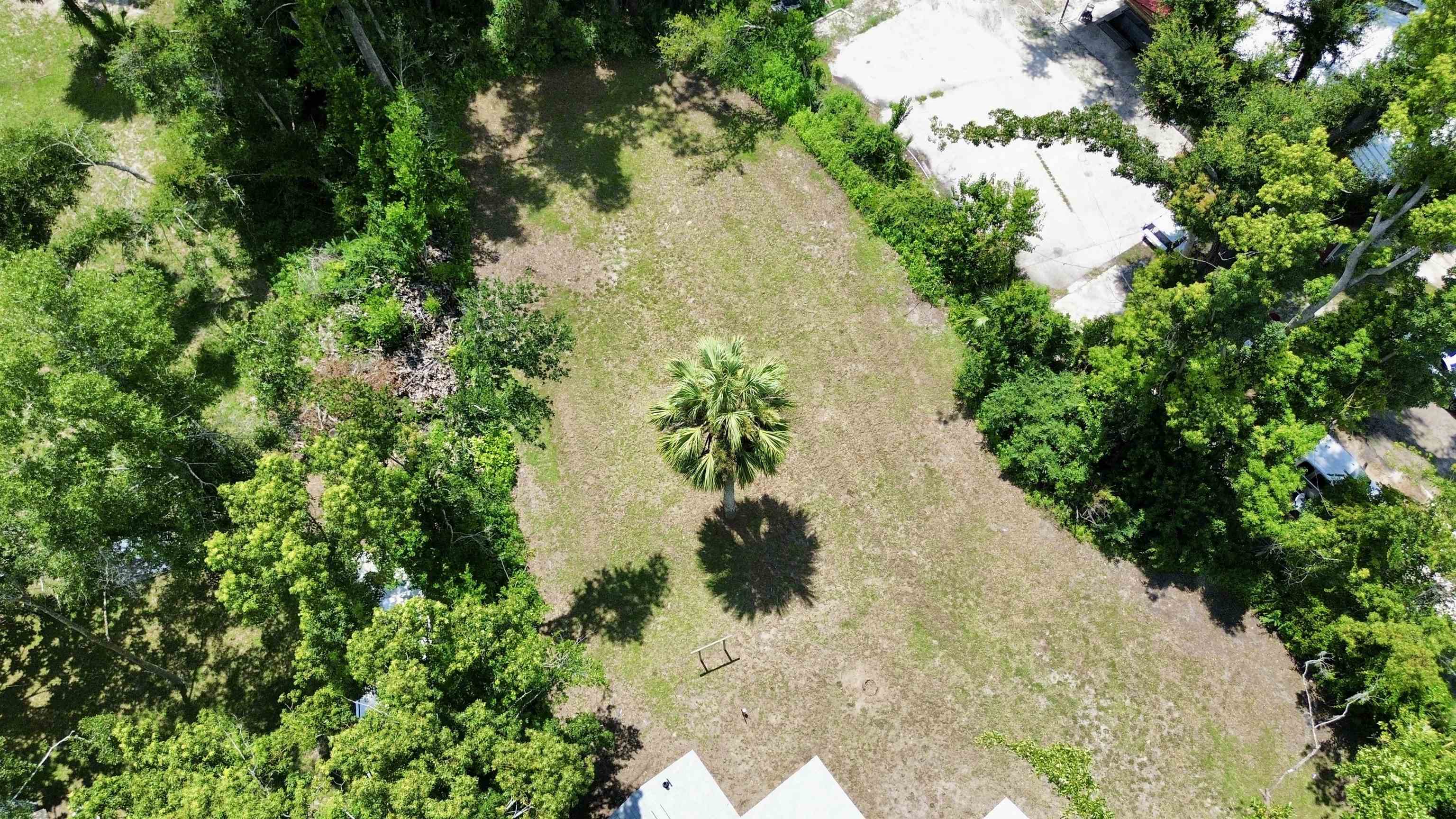 1341 US Highway 98 Perry, FL 32348 - Photo 4 of 35