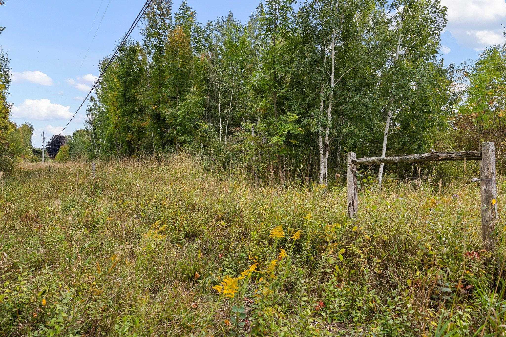 Lot 5 Sutter Road, Unit LOT: 5 Kewadin, MI 49648 - Photo 20 of 41 Gallery Image 20