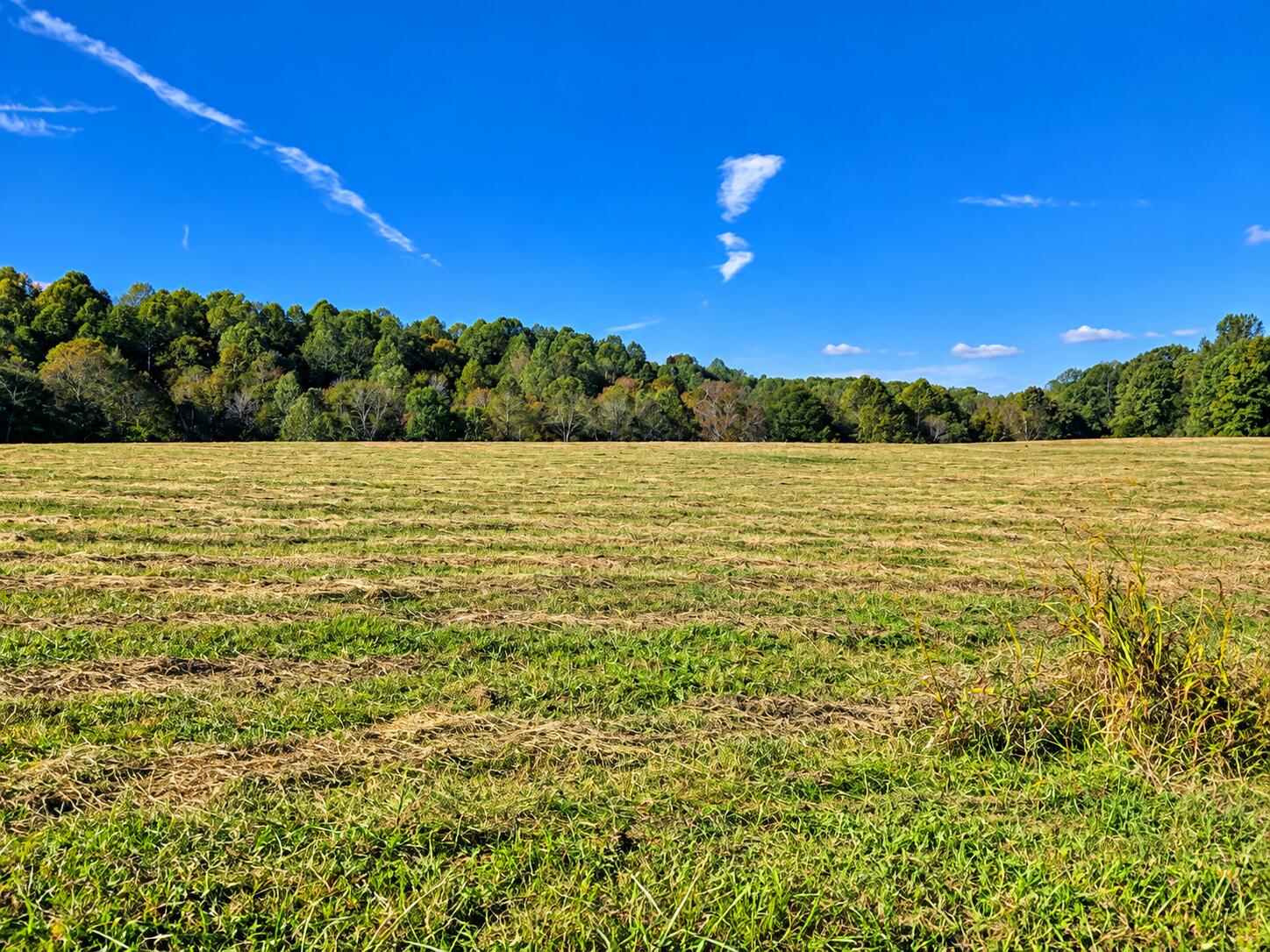 376 Statham Road Liberty, KY 42539 - Photo 5 of 12 8072773F-8EF8-4E6D-B437-67E3F5B3CD29
