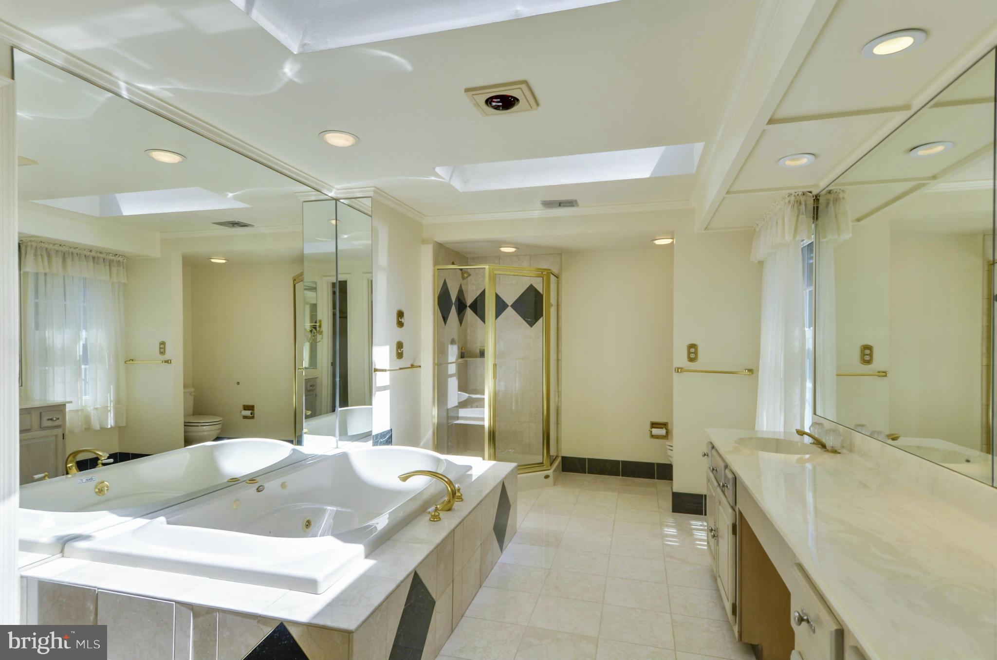12119 Triple Crown Road North Potomac, MD 20878 - Photo 19 of 30 Bath (Master)has jetted tub & separate shower