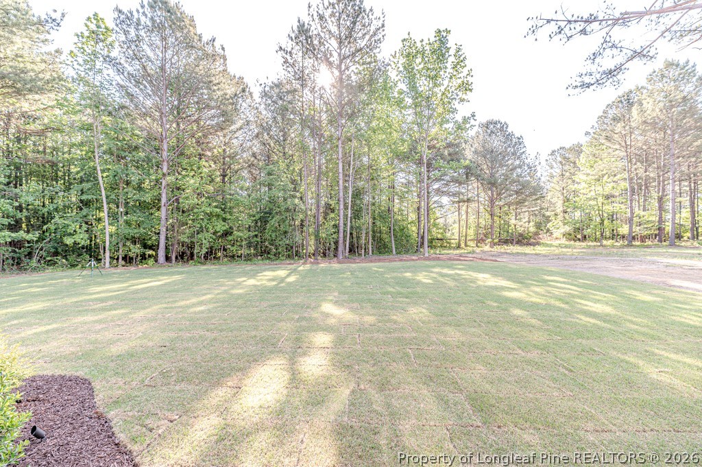 3772 Farrell Road Sanford, NC 27330 - Photo 8 of 50 Gallery Image 8