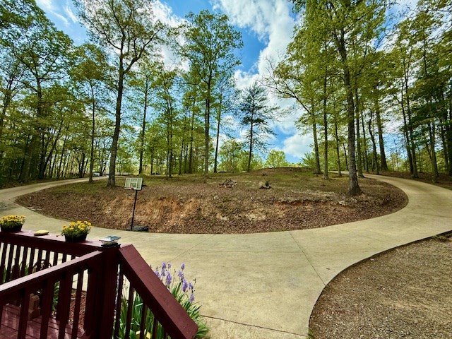 329 Tommy's Lane Murphy, NC 28906 - Photo 14 of 77 a view of a backyard