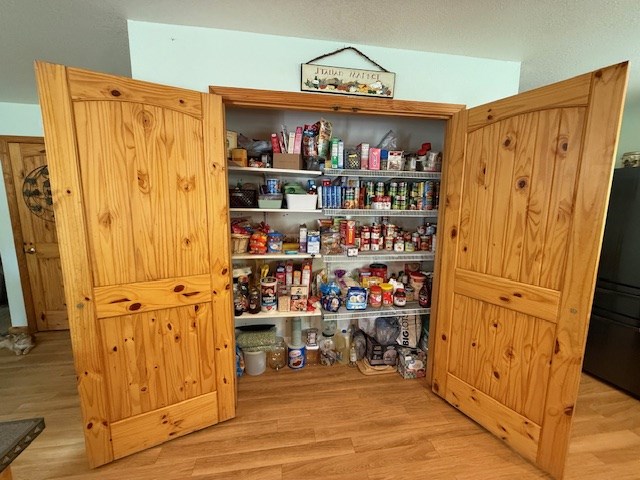329 Tommy's Lane Murphy, NC 28906 - Photo 19 of 77 a view of walk in closet with clothes and shoes