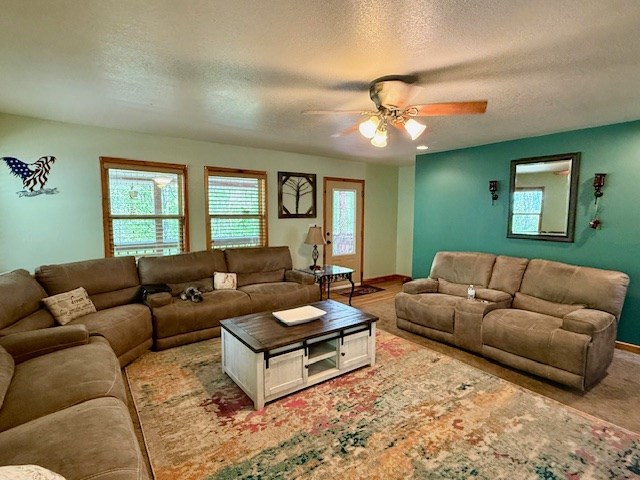 329 Tommy's Lane Murphy, NC 28906 - Photo 28 of 77 a living room with furniture a rug and a window