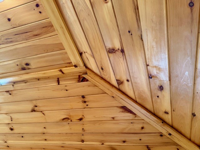 329 Tommy's Lane Murphy, NC 28906 - Photo 41 of 77