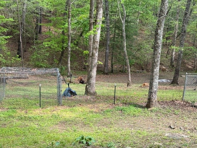 329 Tommy's Lane Murphy, NC 28906 - Photo 53 of 77