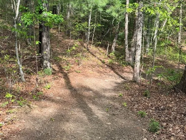 $399,000 | 329 Tommy's Lane, Murphy, NC 28906