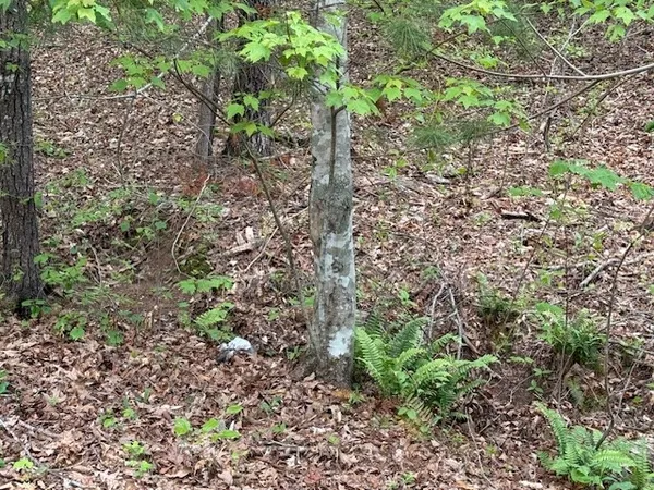 $399,000 | 329 Tommy's Lane, Murphy, NC 28906