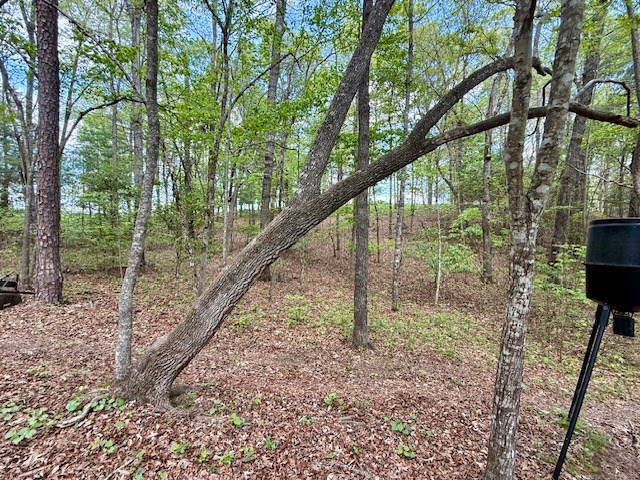 329 Tommy's Lane Murphy, NC 28906 - Photo 59 of 77