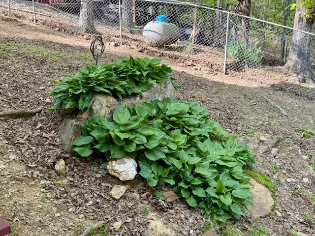 $399,000 | 329 Tommy's Lane, Murphy, NC 28906